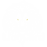 LionCard Logo